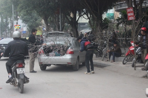 Nhiều gia đình trang thủ thời gian bận rộn gần tết đi mua hoa về trang trí nhà nhân dịp tết Nguyên đán (ảnh Xuân Hòa)
