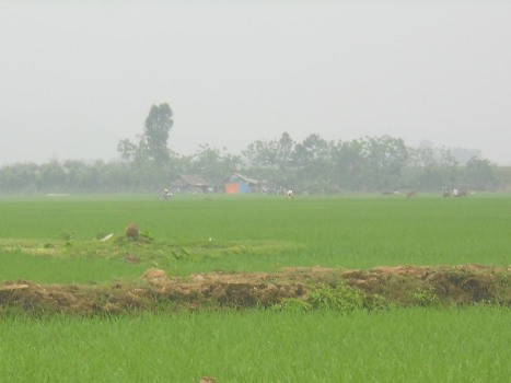 Cánh đồng Nương Mạ nơi phát hiện hai anh em Nguyên, Trỗi chết đuối Cánh đồng Nương Mạ nơi phát hiện hai anh em Nguyên, Trỗi chết đuối