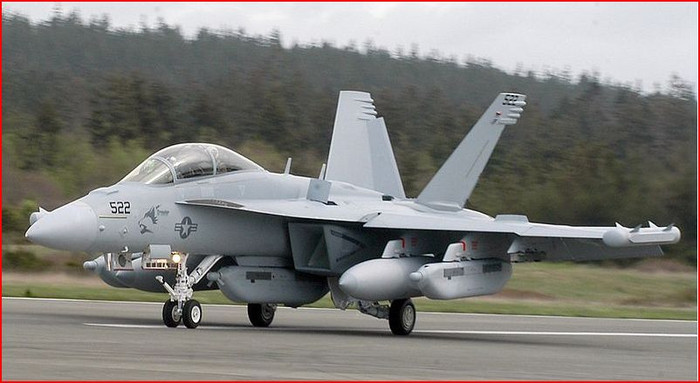 Máy bay tấn công điện tử EA-18G Growler của Mỹ.
