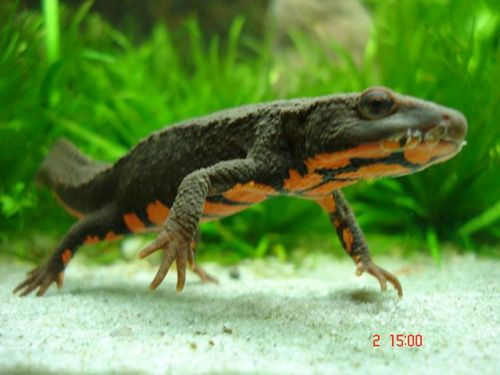 Ảnh minh họa Ảnh minh họa