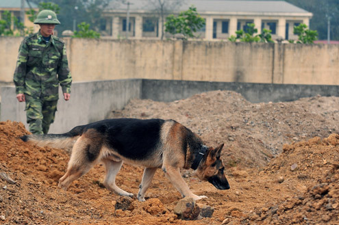Cảnh diễn tập tại thao trường tìm kiếm nạn nhân bị vùi dưới đất đá hoặc đống đổ nát do sập đổ công trình, sạt lở đất...
