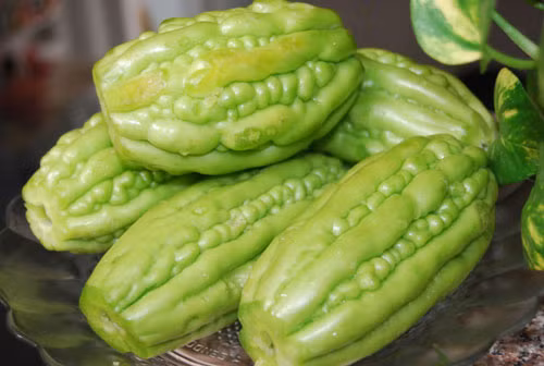 Khổ qua - Ảnh: K.Vy