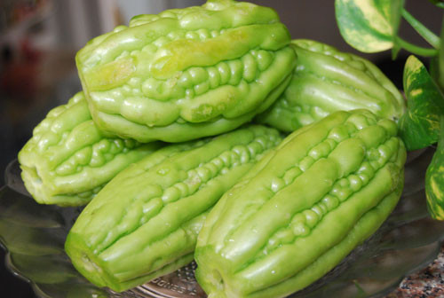 Khổ qua - Ảnh: K.Vy Khổ qua - Ảnh: K.Vy