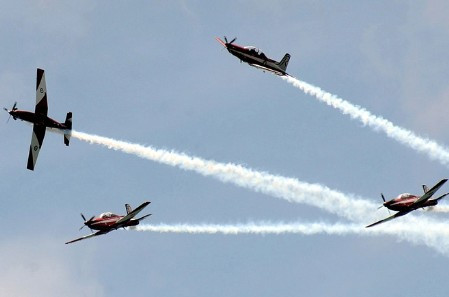 Và trình diễn màn "nở hoa" đẹp mắt.