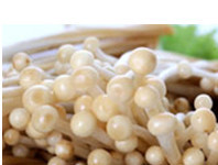 6.Nấm trâm vàng: Nấm Trâm vàng thường xuất hiện vào cuối mùa thu, đầu mùa xuân, loại nấm trâm vàng này có hình dáng hơi nhỏ, thân dài giống như rau trâm vàng, ưa thích nhiệt độ thấp, thậm chí có thể sinh sống trong gió tuyết.