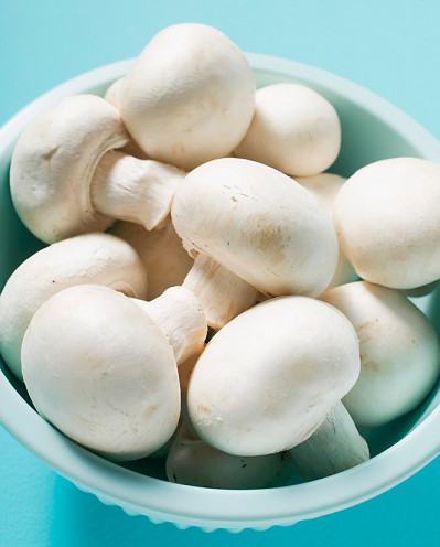 Nấm mỡ rất giàu đạm, nguyên tố vi lượng và nhiều loại axit amin quý. Nó có tác dụng ức chế tụ cầu vàng, trực khuẩn thương hàn và trực khuẩn ecoli.