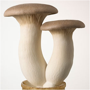 3. Nấm mỡ có công dụng bổ tỳ, nhuận phế, hóa đàm, tiêu thực. Đây là thực phẩm thích hợp cho những người chán ăn, mệt mỏi do tỳ vị hư yếu, sản phụ thiếu sữa, người viêm phế quản mạn, viêm gan mạn và mắc hội chứng suy giảm bạch cầu.