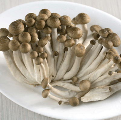 8.Nấm hải sản: Có màu trắng sáng, vị như hải sản, chứa nhiều protein và a-xít amin, rất tốt cho sức khoẻ, tăng cường sức đề kháng.