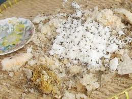 Ruồi nhà ăn thực phẩm của người và chất thải vì thế chúng có thể mang và phát tán nhiều loại mầm bệnh khác nhau như tiêu chảy, bệnh nhiễm trùng da và mắt. Ruồi nhà ăn thực phẩm của người và chất thải vì thế chúng có thể mang và phát tán nhiều loại mầm bệnh khác nhau như tiêu chảy, bệnh nhiễm trùng da và mắt.