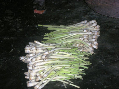 Bảo vệ không cho ruồi tiếp xúc với thức ăn, đồ dùng nhà ăn và với người: Đậy kín chạn bát, thức ăn. Làm lưới cửa ra vào và cửa sổ cũng như chụp màn để bảo vệ trẻ con khi ngủ để không cho ruồi và các côn trùng khác vào. Bảo vệ không cho ruồi tiếp xúc với thức ăn, đồ dùng nhà ăn và với người: Đậy kín chạn bát, thức ăn. Làm lưới cửa ra vào và cửa sổ cũng như chụp màn để bảo vệ trẻ con khi ngủ để không cho ruồi và các côn trùng khác vào.