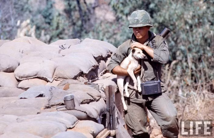 Lữ đoàn không vận 173 của Mỹ trong Chiến tranh Việt Nam