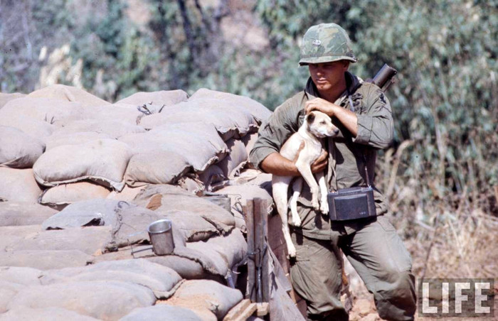 Lữ đoàn không vận 173 của Mỹ trong Chiến tranh Việt Nam Lữ đoàn không vận 173 của Mỹ trong Chiến tranh Việt Nam