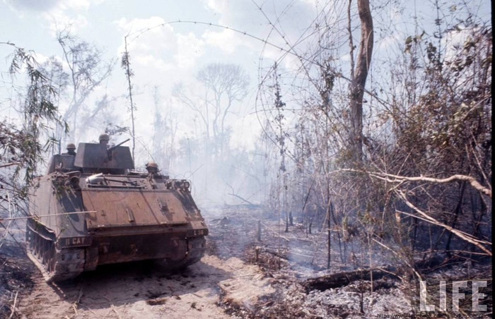 Trung đoàn Kỵ binh bọc thép số 11 của Lục quân Mỹ Trung đoàn Kỵ binh bọc thép số 11 của Lục quân Mỹ