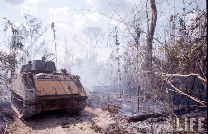 Trung đoàn Kỵ binh bọc thép số 11 của Lục quân Mỹ Trung đoàn Kỵ binh bọc thép số 11 của Lục quân Mỹ