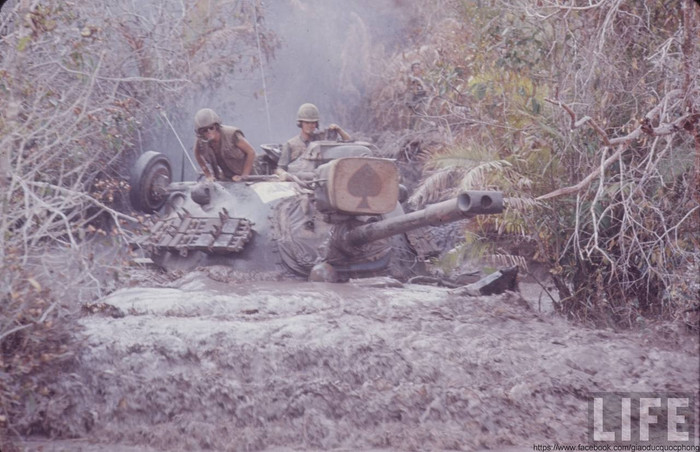 Trung đoàn Kỵ binh bọc thép số 11 của Lục quân Mỹ Trung đoàn Kỵ binh bọc thép số 11 của Lục quân Mỹ