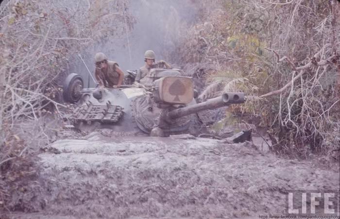 Trung đoàn Kỵ binh bọc thép số 11 của Lục quân Mỹ Trung đoàn Kỵ binh bọc thép số 11 của Lục quân Mỹ