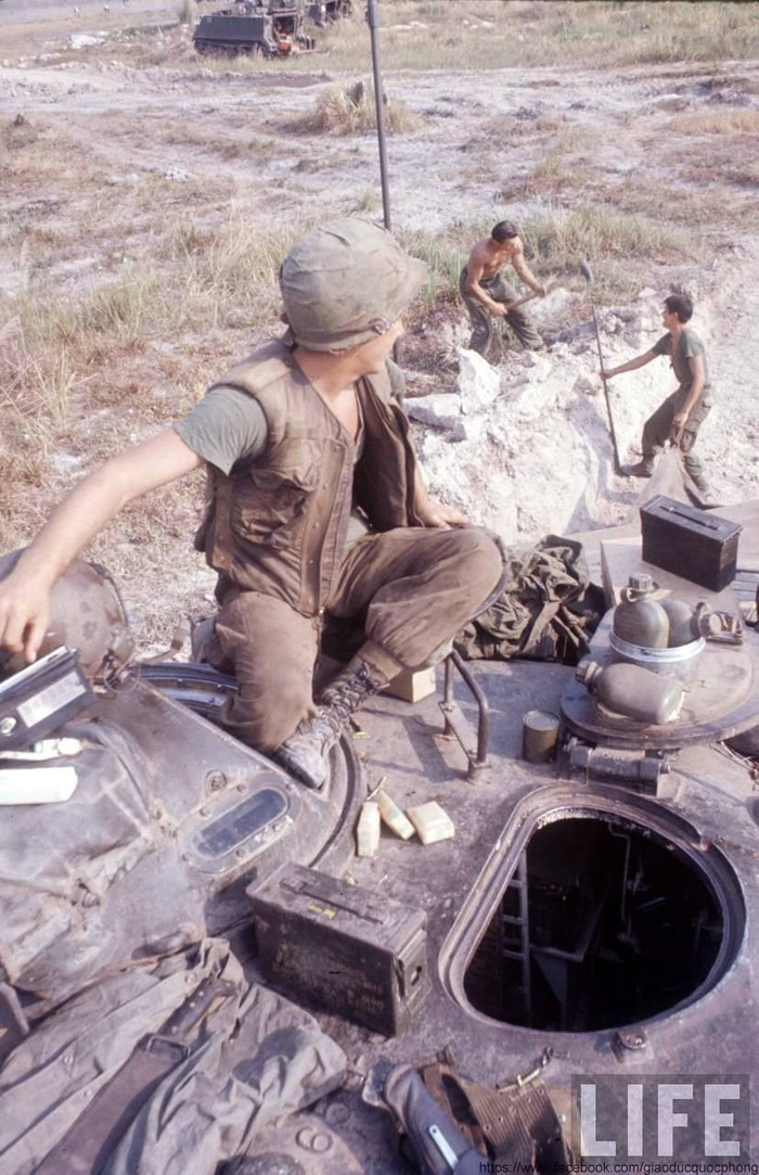 Trung đoàn Kỵ binh bọc thép số 11 của Lục quân Mỹ Trung đoàn Kỵ binh bọc thép số 11 của Lục quân Mỹ