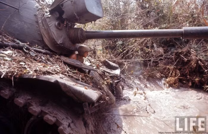 Trung đoàn Kỵ binh bọc thép số 11 của Lục quân Mỹ Trung đoàn Kỵ binh bọc thép số 11 của Lục quân Mỹ