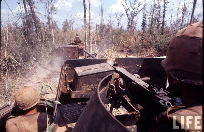 Trung đoàn Kỵ binh bọc thép số 11 của Lục quân Mỹ Trung đoàn Kỵ binh bọc thép số 11 của Lục quân Mỹ