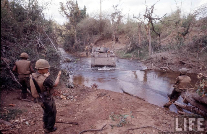 Trung đoàn Kỵ binh bọc thép số 11 của Lục quân Mỹ Trung đoàn Kỵ binh bọc thép số 11 của Lục quân Mỹ