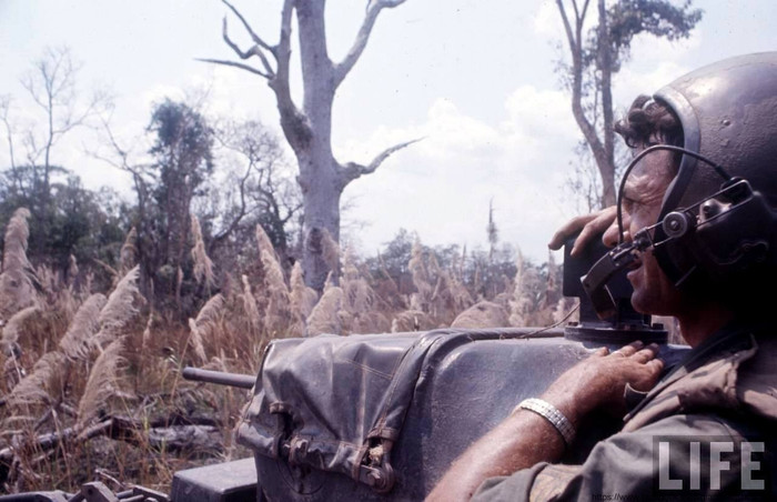 Trung đoàn Kỵ binh bọc thép số 11 của Lục quân Mỹ Trung đoàn Kỵ binh bọc thép số 11 của Lục quân Mỹ