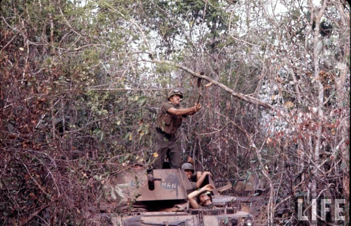 Trung đoàn Kỵ binh bọc thép số 11 của Lục quân Mỹ Trung đoàn Kỵ binh bọc thép số 11 của Lục quân Mỹ