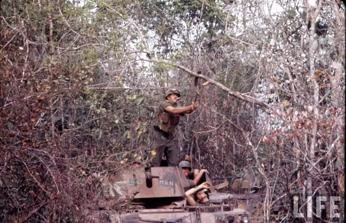 Trung đoàn Kỵ binh bọc thép số 11 của Lục quân Mỹ