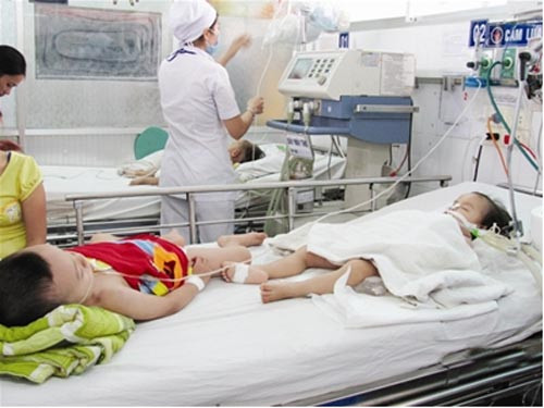 Lau sàn nhà mỗi ngày bằng dung dịch khử khuẩn Cloramin B 2% hoặc các dung dịch khử khuẩn khác.