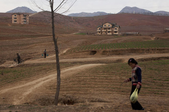 Ngoại ô phía nam Bình Nhưỡng