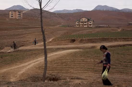 Ngoại ô phía nam Bình Nhưỡng