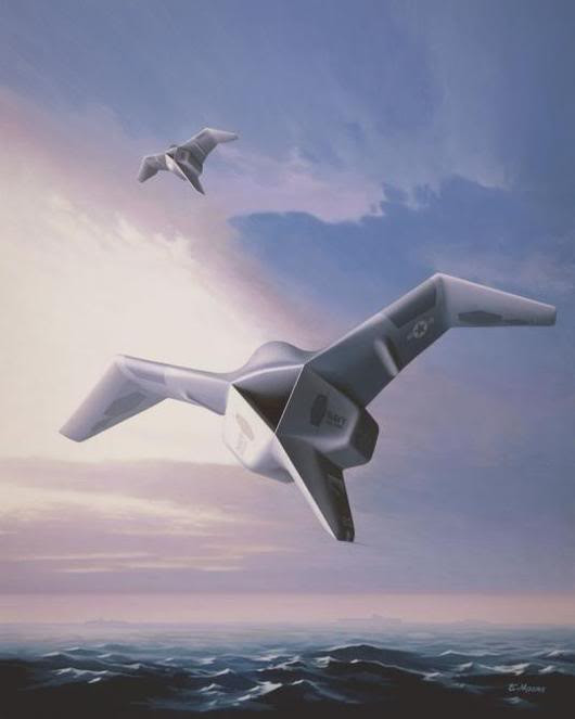 Kiểu dáng chiếc Cormorant Kiểu dáng chiếc Cormorant