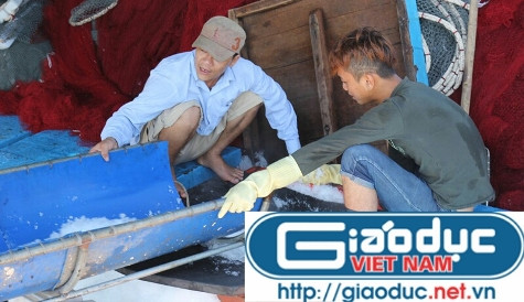 Các thuyền viên trên tàu cá NA 90567 TS đang cho đá đã được xay vào các hầm lạnh trên tàu (ảnh Xuân Hòa) Các thuyền viên trên tàu cá NA 90567 TS đang cho đá đã được xay vào các hầm lạnh trên tàu (ảnh Xuân Hòa)