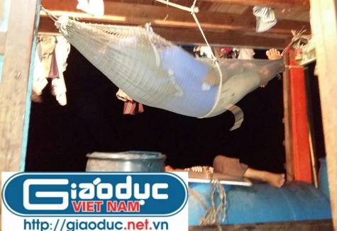 Các thuyền viên trên tàu cá NA 90567 TS tranh thủ ngủ để chuẩn bị cho bữa đêm đánh bắt đầu tiên (ảnh Xuân Hòa)