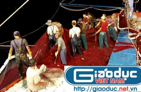 Công việc đánh bắt cá của các thuyền viên trên tàu luôn làm về đêm nên họ thường xuyên phải thức trắng đêm (ảnh Xuân Hòa) Công việc đánh bắt cá của các thuyền viên trên tàu luôn làm về đêm nên họ thường xuyên phải thức trắng đêm (ảnh Xuân Hòa)