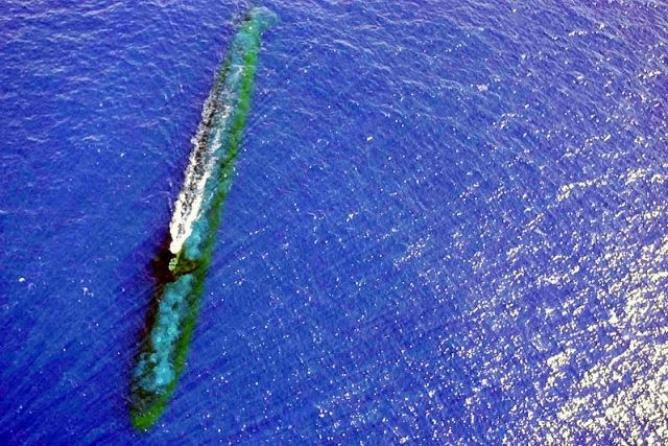 Tàu ngầm hạt nhân tấn công USS Chicago lớp Los Angeles, Hải quân Mỹ đến Malaysia ngày 24 tháng 7 năm 2001 (ảnh tư liệu)