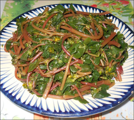 Rau Sam: Đây là loại rau dễ trồng dễ chăm, nó vừa là thảo dược vừa là thực phẩm chế biến món ăn, mang tính dược hàn. Thực tế chứng minh khi dùng rau sam thì nó kích thích tử cung khá mạnh, có thể làm tăng số lần và cường độ thu co của tử cung và hậu quả là gây ra sẩy thai.(Ảnh: TSK) Xem thêm: "Thần dược" quanh ta: Ngô bắp ngon, rẻ và chống ung thư hiệu quả