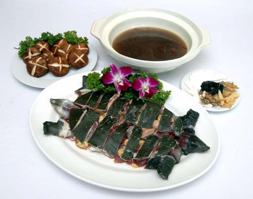 Baba: Cũng như các thực phẩm trên, Baba tuy có tác dụng lợi dương bổ thận nhưng baba có vị tanh, tính hàn và có tác dụng tán u, thông huyết mạch, rất nguy hại trong việc sẩy thai. Hơn thế nữa , “sức đẩy thai” của chân ba ba mạnh hơn nhiều so với thịt ba ba.(Ảnh: BB) Xem thêm: "Thần dược" quanh ta: Ngô bắp ngon, rẻ và chống ung thư hiệu quả