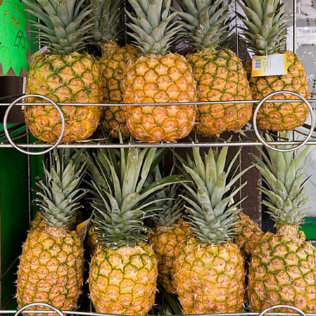 Các bác sĩ khuyến cáo, để tránh dị ứng dứa: Sau khi gọt vỏ, bạn nên cắt dứa thành từng miếng, ngâm nước muối nhạt 10-30 phút. Làm như vậy không chỉ tránh được hiện tượng rát lưỡi khi ăn dứa; mà còn giúp bạn thấy dứa có vị thơm, ngon hơn.(Ảnh: IN) Xem thêm: Cảnh báo chị,em nội trợ: độc tố nguy hiểm "ẩn mình" trong thực phẩm / Hoa Ngọc Lan - "Thầy thuốc" chữa bệnh hiệu quả, bạn đã biết? Các bác sĩ khuyến cáo, để tránh dị ứng dứa: Sau khi gọt vỏ, bạn nên cắt dứa thành từng miếng, ngâm nước muối nhạt 10-30 phút. Làm như vậy không chỉ tránh được hiện tượng rát lưỡi khi ăn dứa; mà còn giúp bạn thấy dứa có vị thơm, ngon hơn.(Ảnh: IN) Xem thêm: Cảnh báo chị,em nội trợ: độc tố nguy hiểm "ẩn mình" trong thực phẩm / Hoa Ngọc Lan - "Thầy thuốc" chữa bệnh hiệu quả, bạn đã biết?