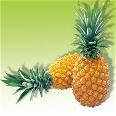 Với những công dụng tuyệt vời như thế này, dứa hẳn sẽ là lựa chọn hoàn hảo cho mọi nhà, đặc biệt là phái đẹp. (Ảnh: IN) Xem thêm: Cảnh báo chị,em nội trợ: độc tố nguy hiểm "ẩn mình" trong thực phẩm / Hoa Ngọc Lan - "Thầy thuốc" chữa bệnh hiệu quả, bạn đã biết? Với những công dụng tuyệt vời như thế này, dứa hẳn sẽ là lựa chọn hoàn hảo cho mọi nhà, đặc biệt là phái đẹp. (Ảnh: IN) Xem thêm: Cảnh báo chị,em nội trợ: độc tố nguy hiểm "ẩn mình" trong thực phẩm / Hoa Ngọc Lan - "Thầy thuốc" chữa bệnh hiệu quả, bạn đã biết?