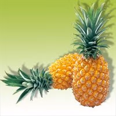 Với những công dụng tuyệt vời như thế này, dứa hẳn sẽ là lựa chọn hoàn hảo cho mọi nhà, đặc biệt là phái đẹp. (Ảnh: IN) Xem thêm: Cảnh báo chị,em nội trợ: độc tố nguy hiểm "ẩn mình" trong thực phẩm / Hoa Ngọc Lan - "Thầy thuốc" chữa bệnh hiệu quả, bạn đã biết?