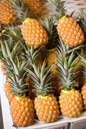 Dứa cùng với nhiều loại trái cây khác rất bổ dưỡng với sức khỏe con người. Trong dứa không có cholesterol, lại giàu chất xơ, các enzym tiêu hóa, vitamin C, canxi và kali. Xem thêm: Cảnh báo chị,em nội trợ: độc tố nguy hiểm "ẩn mình" trong thực phẩm / Hoa Ngọc Lan - "Thầy thuốc" chữa bệnh hiệu quả, bạn đã biết? Dứa cùng với nhiều loại trái cây khác rất bổ dưỡng với sức khỏe con người. Trong dứa không có cholesterol, lại giàu chất xơ, các enzym tiêu hóa, vitamin C, canxi và kali. Xem thêm: Cảnh báo chị,em nội trợ: độc tố nguy hiểm "ẩn mình" trong thực phẩm / Hoa Ngọc Lan - "Thầy thuốc" chữa bệnh hiệu quả, bạn đã biết?