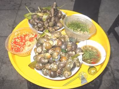 Ốc có nhiều canxi tốt cho thai phụ.