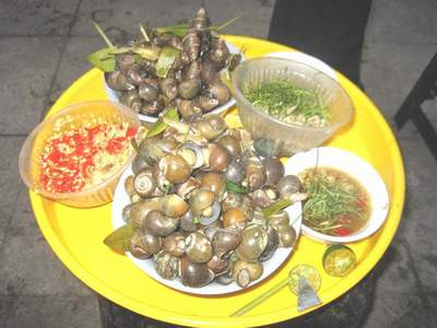 Ốc có nhiều canxi tốt cho thai phụ. Ốc có nhiều canxi tốt cho thai phụ.