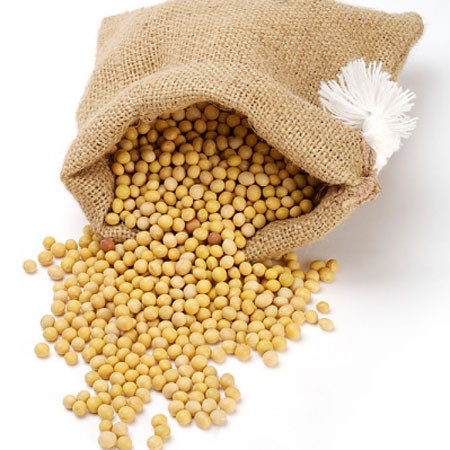 Đậu nành: Dùng 150g đậu nành, 1 lít nước, đun với lửa nhỏ trong 20 phút, để nước đủ ấm dùng ngâm chân. Cách này trị mùi hôi chân rất hiệu quả, lại giúp bảo vệ da chân. Thông thường ngâm rửa liên tục 3-4 ngày sẽ thấy công hiệu. (Ảnh: ITN) Xem thêm: Ăn uống làm sao để trẻ - khỏe và sống lâu? Đậu nành: Dùng 150g đậu nành, 1 lít nước, đun với lửa nhỏ trong 20 phút, để nước đủ ấm dùng ngâm chân. Cách này trị mùi hôi chân rất hiệu quả, lại giúp bảo vệ da chân. Thông thường ngâm rửa liên tục 3-4 ngày sẽ thấy công hiệu. (Ảnh: ITN) Xem thêm: Ăn uống làm sao để trẻ - khỏe và sống lâu?