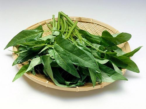 Rau muống 200g. Giã và vắt lấy nước uống. Dùng trong chảy máu cam do nhiệt. Xem thêm: Cảnh báo chị,em nội trợ: độc tố nguy hiểm "ẩn mình" trong thực phẩm / Hoa Ngọc Lan - "Thầy thuốc" chữa bệnh hiệu quả, bạn đã biết? Rau muống 200g. Giã và vắt lấy nước uống. Dùng trong chảy máu cam do nhiệt. Xem thêm: Cảnh báo chị,em nội trợ: độc tố nguy hiểm "ẩn mình" trong thực phẩm / Hoa Ngọc Lan - "Thầy thuốc" chữa bệnh hiệu quả, bạn đã biết?