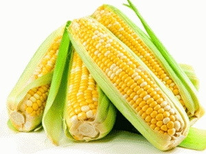 Tốt cho não: Bắp cũng giàu vitamin B1 giúp acetylcholine-một chất truyền tín hiệu thần kinh cho bộ nhớ. Nếu cơ thể thiếu vitamin B1 sẽ gây ra tình trạng đầu óc mệt mỏi và giảm trí nhớ. Một bát ngô có thể đáp ứng được khoảng 24% lượng thiamin mà cơ thể cần mỗi ngày. Xem thêm: Mướp đắng và những bài thuốc quý chữa bệnh