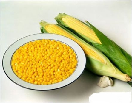 Tăng cường sức khỏe hệ tiêu hóa: Một trong những lợi ích của ăn ngô là giúp cho hệ tiêu hóa khỏe mạnh. Lý do là bắp ngô giàu chất xơ không hòa tan- chất khiến dễ tiểu tiện. Xem thêm: Mướp đắng và những bài thuốc quý chữa bệnh