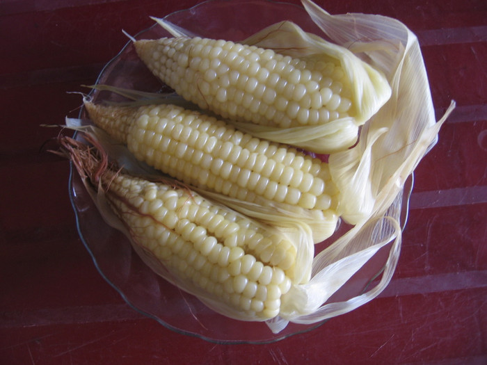 Tốt cho da: Lâu nay nhiều hãng được phẩm trên thế giới đã dùng ngô để chiết xuất nhiều thành phần dinh dưỡng để chế tạo dược phẩm. Tuy nhiên, cách đơn giản là bạn có thể ăn bắp thường xuyên sẽ giúp da sáng đẹp hơn. Nếu bạn bị dị ứng, bạn cũng có thể lấy hạt ngô non tươi giã ra và xoa lên chỗ bị dị ứng. Một lúc là vết ngứa sẽ dịu đi. Xem thêm: Mướp đắng và những bài thuốc quý chữa bệnh