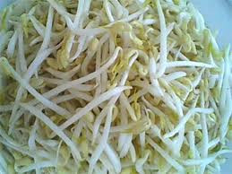 Giá đỗ: Bình thường giá đỗ là một loại rau có tính mát, chứa khá nhiều chất dinh dưỡng, ngon và được nhiều người ưa chuộng để chế biến món ăn.(Ảnh: ITN) Xem thêm: "Thần dược" quanh ta: Ngô bắp ngon, rẻ và chống ung thư hiệu quả Giá đỗ: Bình thường giá đỗ là một loại rau có tính mát, chứa khá nhiều chất dinh dưỡng, ngon và được nhiều người ưa chuộng để chế biến món ăn.(Ảnh: ITN) Xem thêm: "Thần dược" quanh ta: Ngô bắp ngon, rẻ và chống ung thư hiệu quả