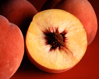 Hạn chế ăn thực phẩm có tính nóng: Quả đào: Quả đào được cho là loại quả có hàm lượng sắt rất phong phú, ngoài ra còn có protein, đường, kẽm, pectin… rất thích hợp với người bị bệnh thiếu máu. (Ảnh: TCLĐ) Xem thêm: "Thần dược" quanh ta: Ngô bắp ngon, rẻ và chống ung thư hiệu quả Hạn chế ăn thực phẩm có tính nóng: Quả đào: Quả đào được cho là loại quả có hàm lượng sắt rất phong phú, ngoài ra còn có protein, đường, kẽm, pectin… rất thích hợp với người bị bệnh thiếu máu. (Ảnh: TCLĐ) Xem thêm: "Thần dược" quanh ta: Ngô bắp ngon, rẻ và chống ung thư hiệu quả